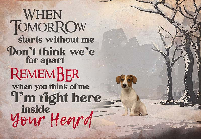 Jack Russell Terrier - I'M Right Here Inside Your Heart Ver2-MH2109