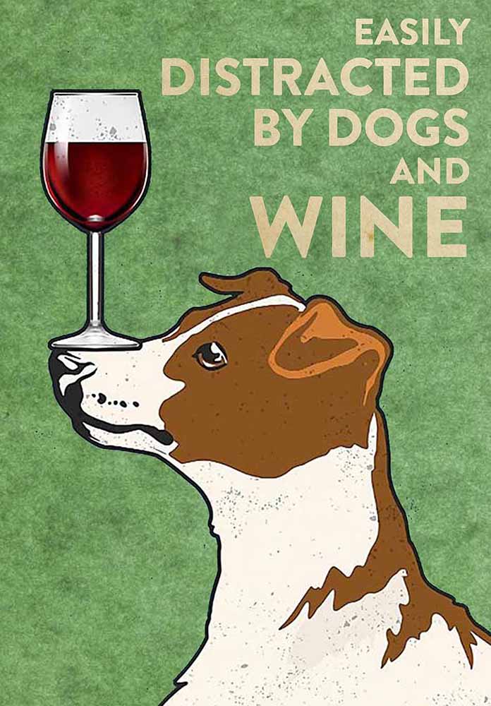Jack Russell Terrier Easily Distracted By Dogs And Wine-TT2708