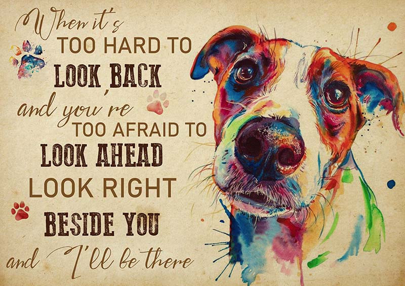 Jack Russell Terrier When It's Too Hard to Look Back-TT2009