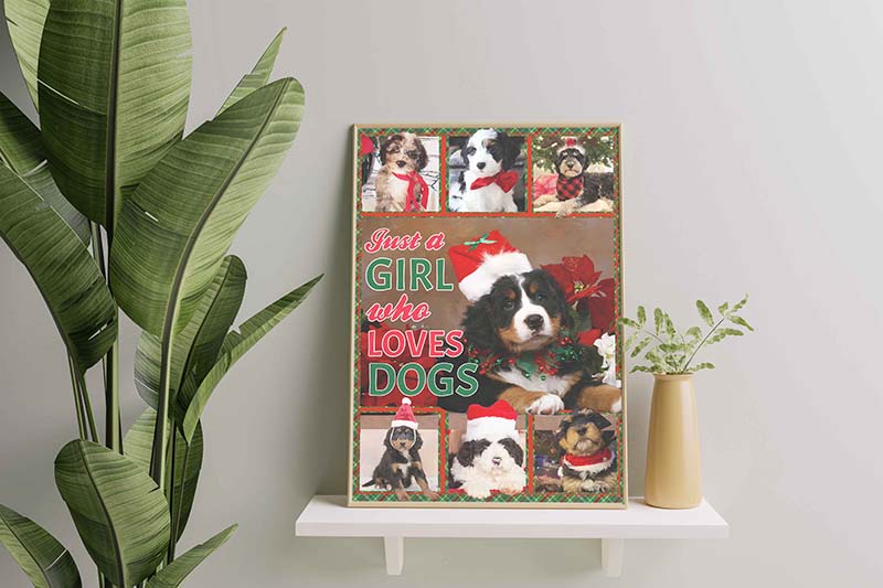 Just A Girl Who Loves Dog, Christmas Bernedoodle Dog-TT0312