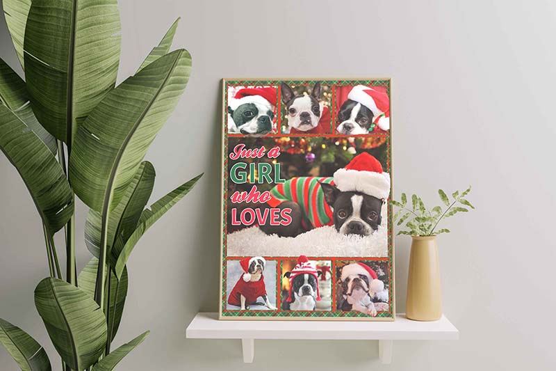 Just A Girl Who Loves Dog, Christmas Boston Terrier Dog-TT0612