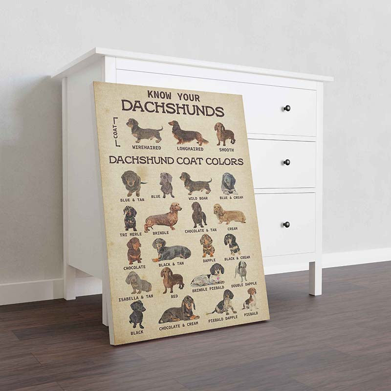 Skitongifts Wall Decoration, Home Decor, Decoration Room Know Your Pet Your Dachshund Dog-TT2809