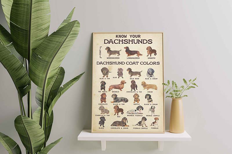 Skitongifts Wall Decoration, Home Decor, Decoration Room Know Your Pet Your Dachshund Dog-TT2809