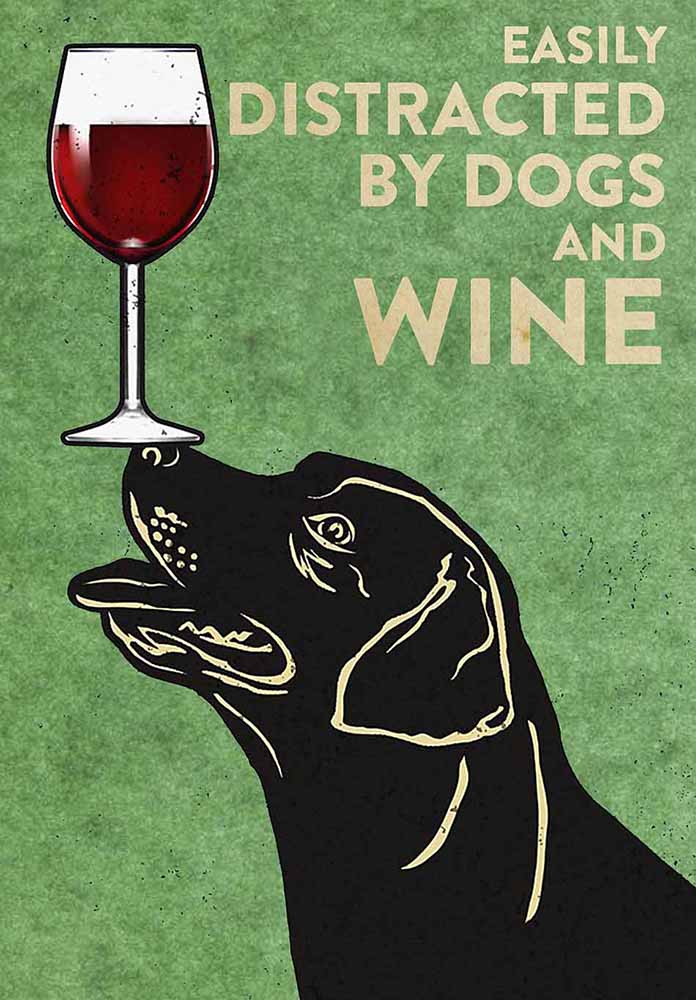 Labrador Easily Distracted By Dogs And Wine-TT2708