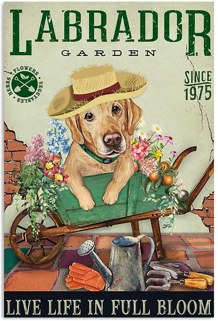 Labrador Garden Live Life In Full Bloom Dog