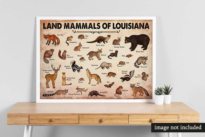 Skitongifts Wall Decoration, Home Decor, Decoration Room Land Mammals Of Louisiana-MH2509