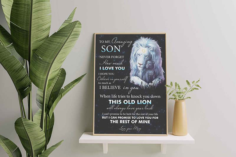 Lion To My Amazing Son I Love You When Life Tries To Knock You Down This Old Lion-TT3012