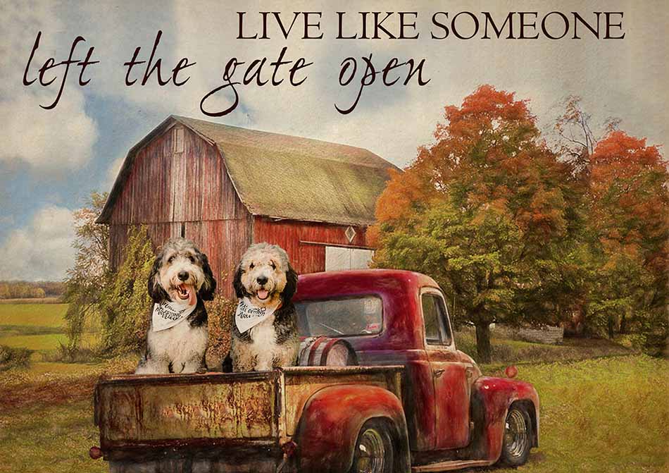 Live Like Someone Left The Gate Open Farmhouse Vintage Bernedoodle Dogs-TT0809