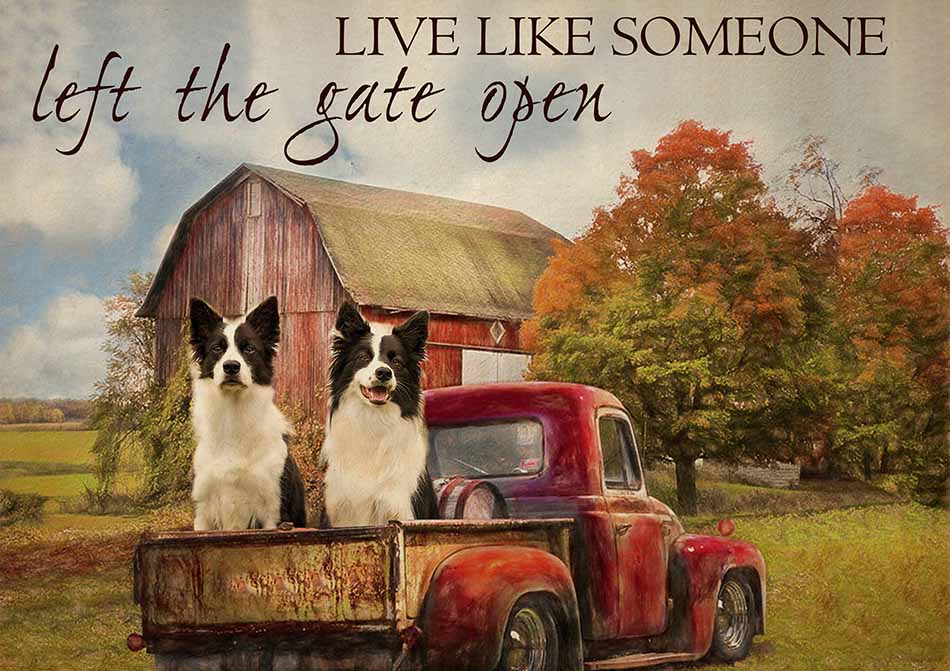 Live Like Someone Left The Gate Open Farmhouse Vintage Border Collie Dogs-TT0809