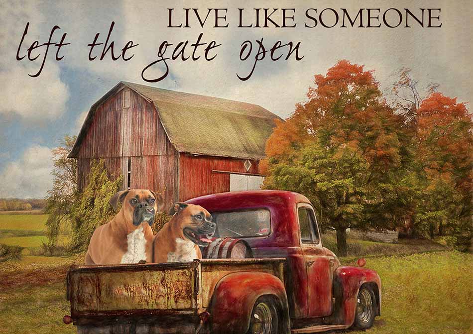 Live Like Someone Left The Gate Open Farmhouse Vintage Boxer Dogs-TT0809