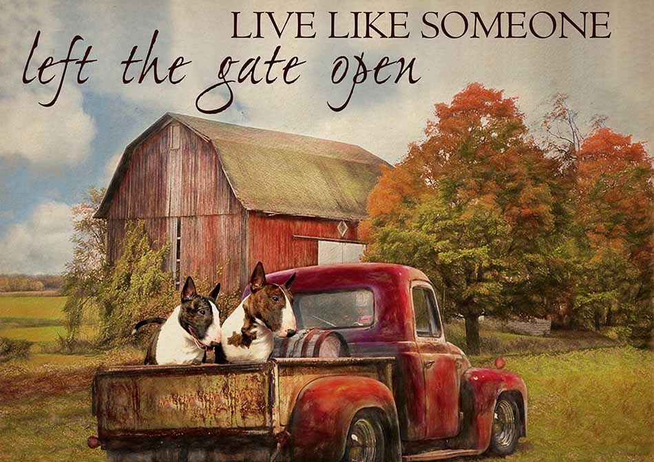 Live Like Someone Left The Gate Open Farmhouse Vintage Bull Terrier Dogs-TT0809