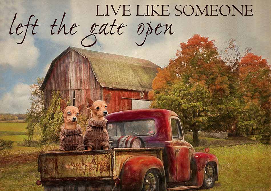 Live Like Someone Left The Gate Open Farmhouse Vintage Chihuahua Dogs-TT0809