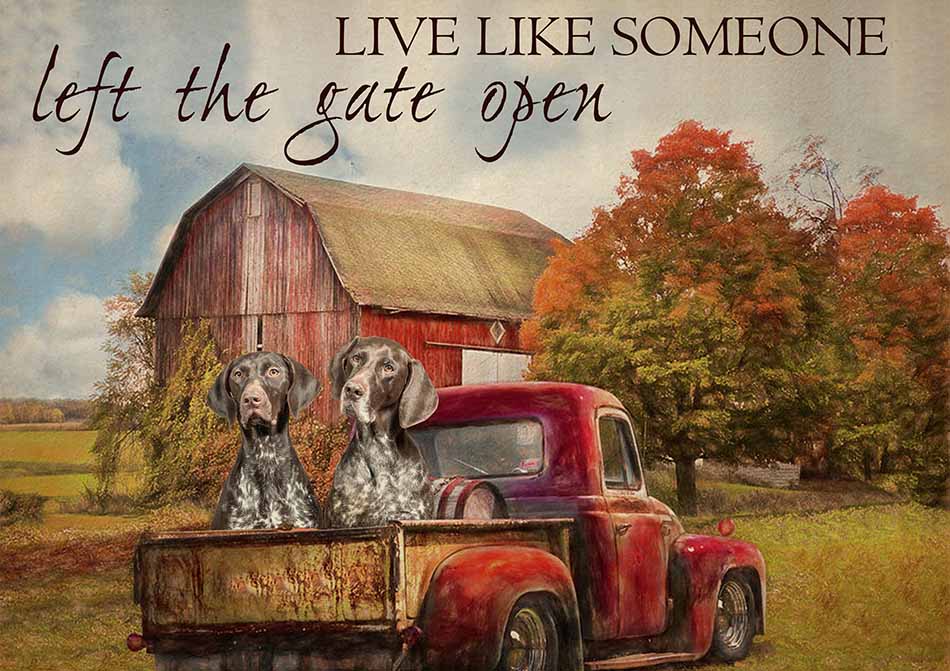 Live Like Someone Left The Gate Open Farmhouse Vintage German Shorthaired Pointer Dogs-TT0809