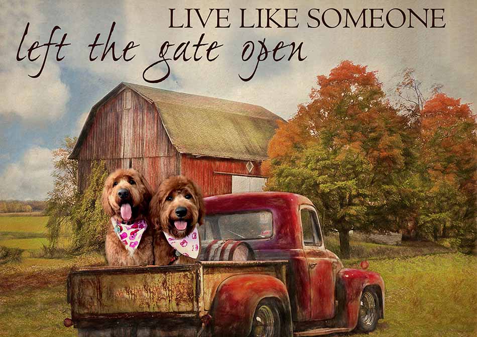 Live Like Someone Left The Gate Open Farmhouse Vintage Goldendoodle Dogs-TT0809