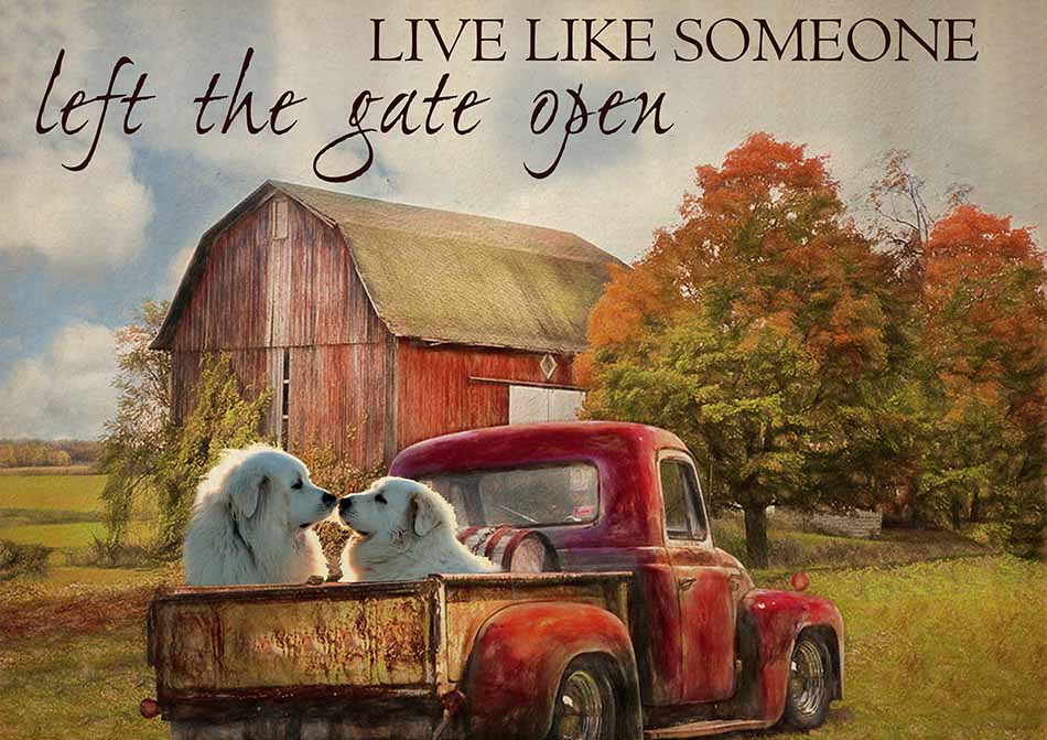 Live Like Someone Left The Gate Open Farmhouse Vintage Great Pyrenees Dogs-TT0809