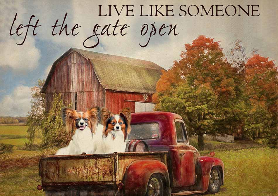 Live Like Someone Left The Gate Open Farmhouse Vintage Papillon Dogs-TT0809