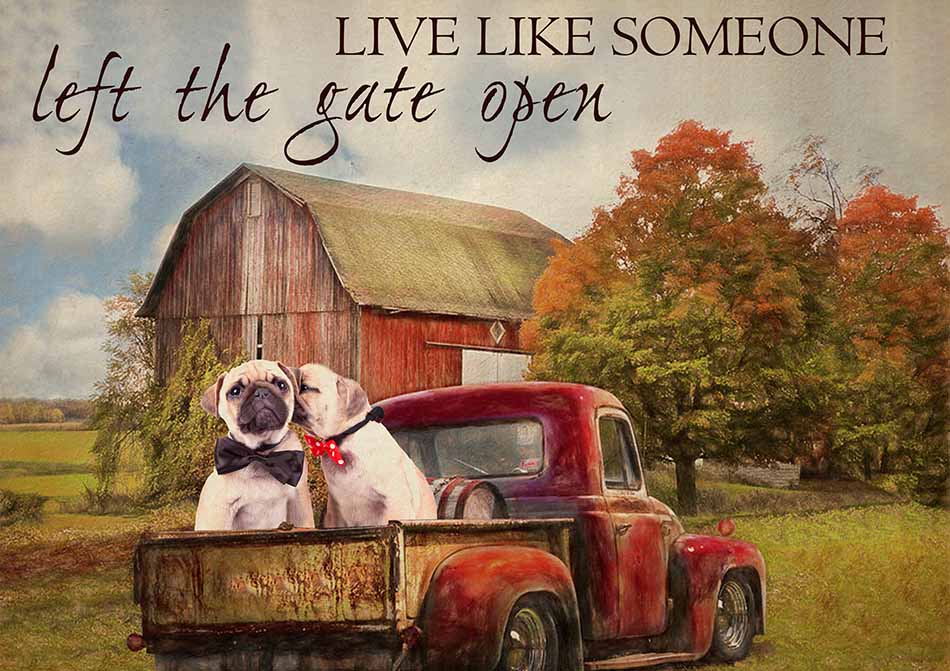 Live Like Someone Left The Gate Open Farmhouse Vintage Pug Dogs-TT0809
