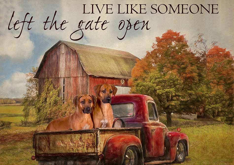 Live Like Someone Left The Gate Open Farmhouse Vintage Rhodesian Ridgeback Dogs-TT0809