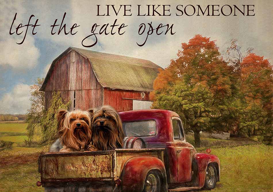 Live Like Someone Left The Gate Open Farmhouse Vintage Yorkshire Terrier Dogs-TT0809