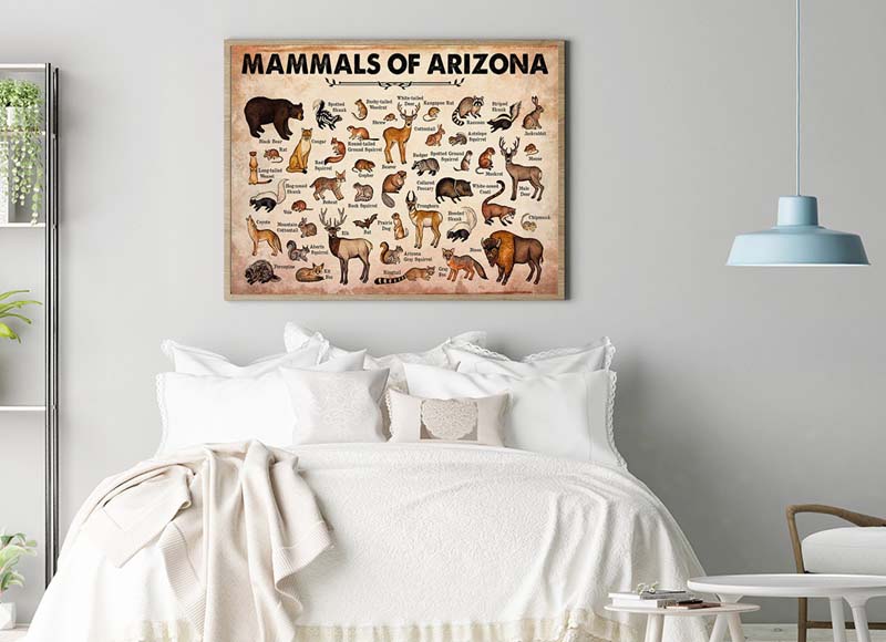 Skitongifts Wall Decoration, Home Decor, Decoration Room Mammals Of Arizona-MH2509