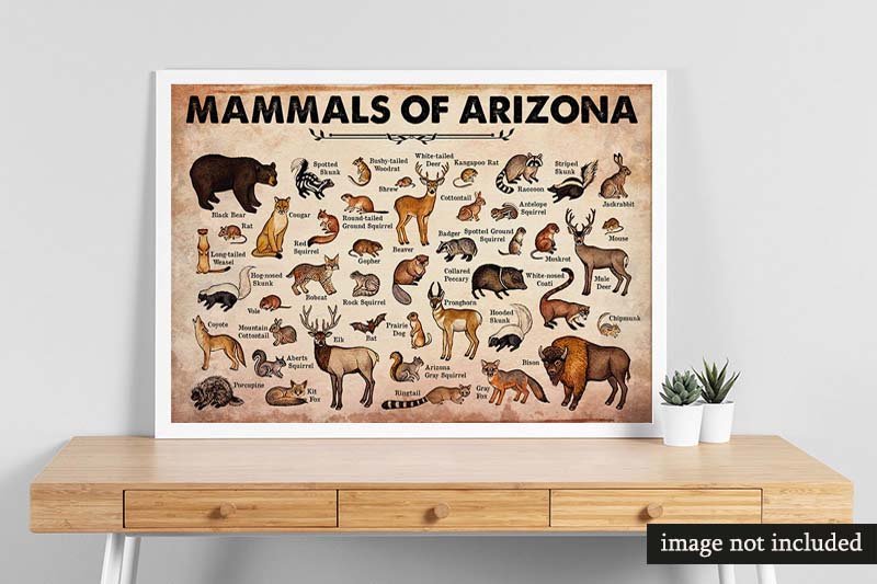 Skitongifts Wall Decoration, Home Decor, Decoration Room Mammals Of Arizona-MH2509