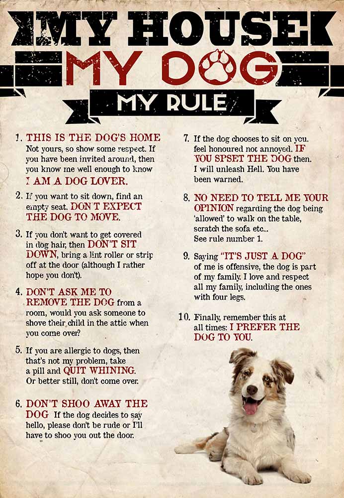 My House My Dog My Rule Australian Shepherds-MH2708