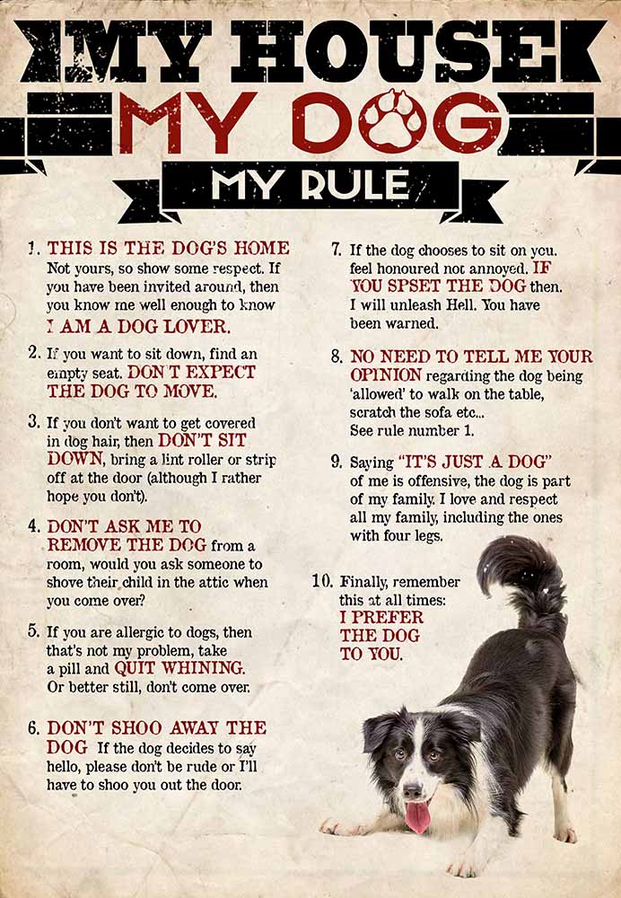 My House My Dog My Rule Border Collie-MH2708