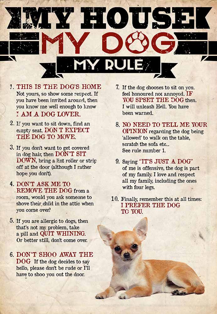 My House My Dog My Rule Chihuahua-MH2708