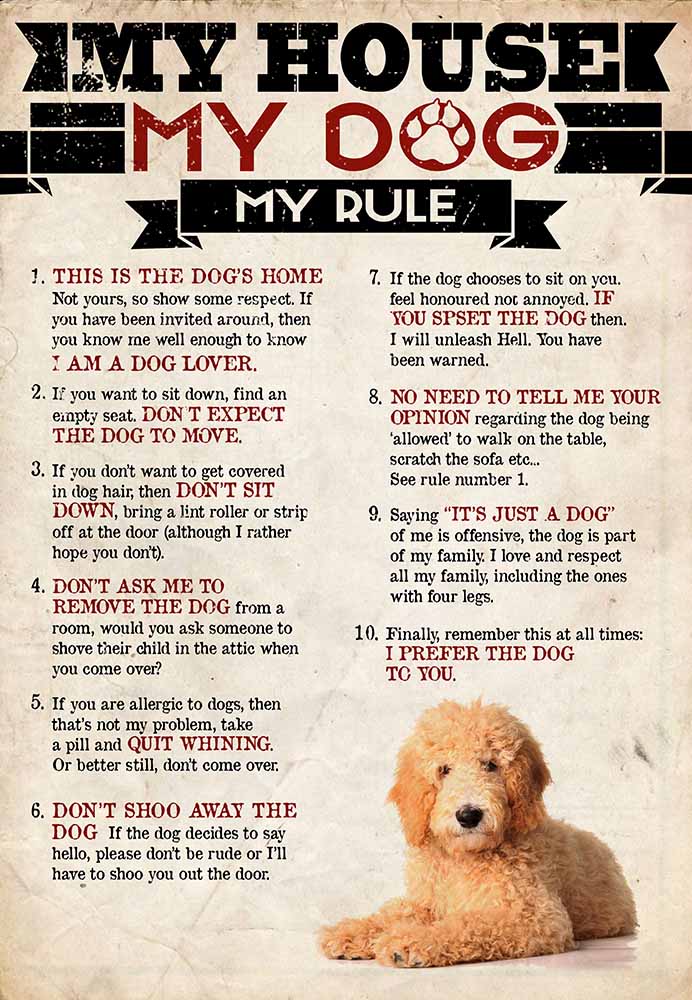 My House My Dog My Rule Goldendoodle-MH2708