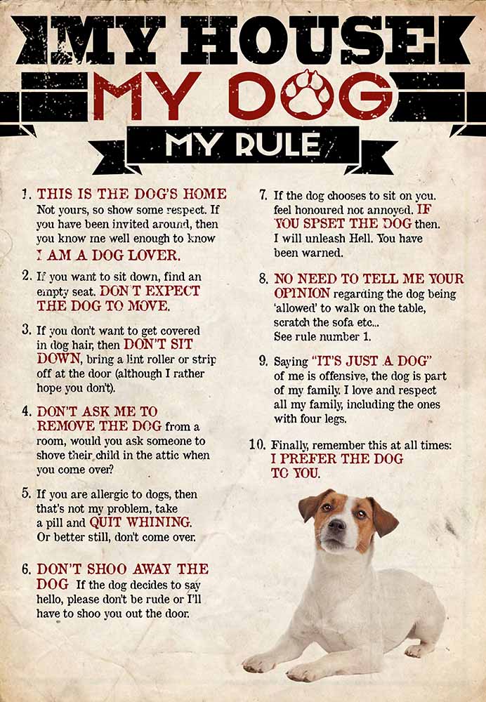 My House My Dog My Rule Jack Russell Terrier-MH2708