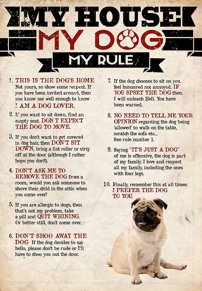 My House My Dog My Rule Pug-MH2708