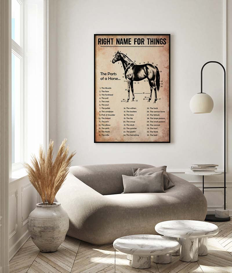 Skitongifts Wall Decoration, Home Decor, Decoration Room Name for Things The Parts of A Horse-MH2509