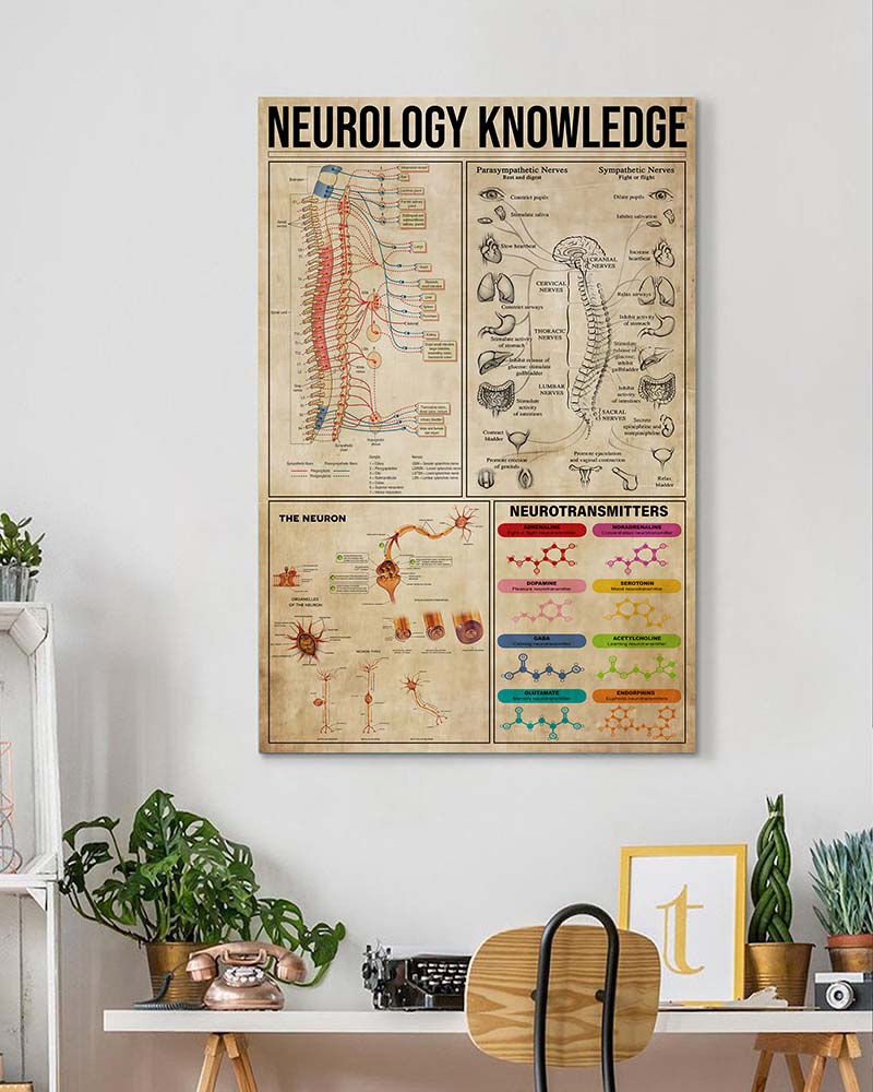 Neurology Knowledge-VT1205