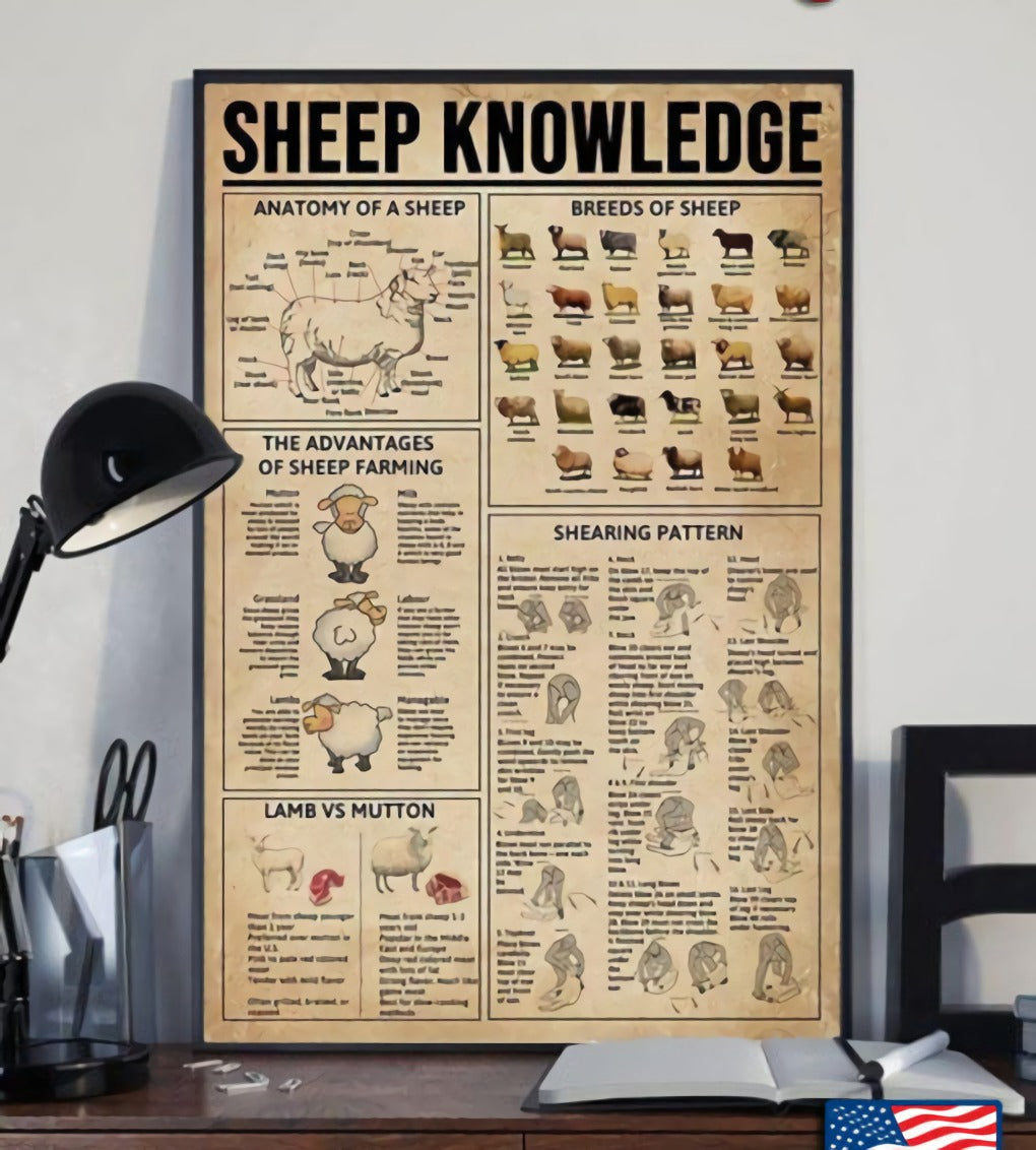 Sheep Knowledge