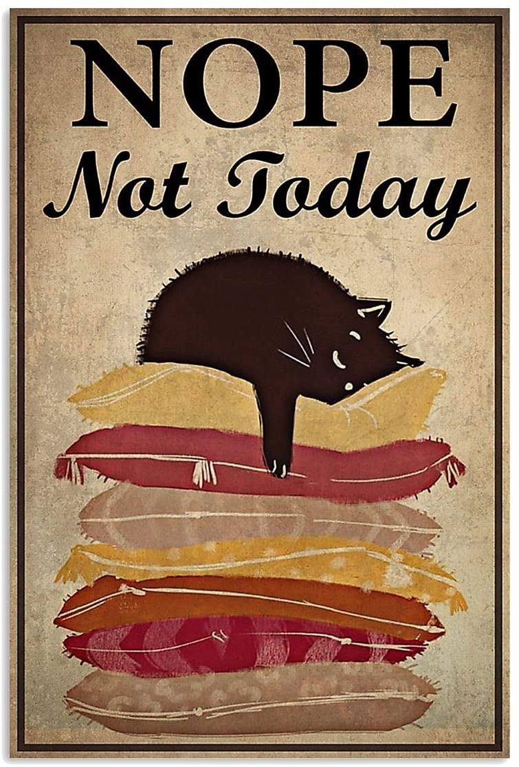 Nope Not Today Lazy Black Cat Pillows