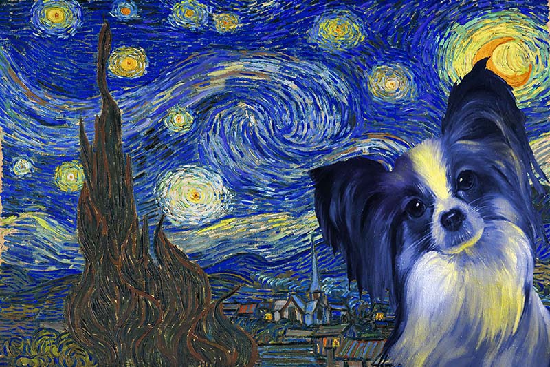 Papillon Dog Van Gogh Style Starry Night-TT0409