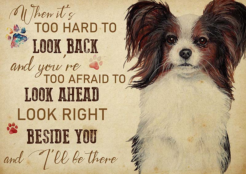 Papillon When It's Too Hard to Look Back-TT2009