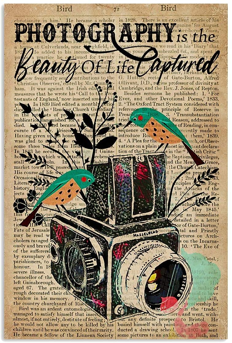 Photography Beauty Of Life Captured Floral Bird Proud Hobby Camera Quote