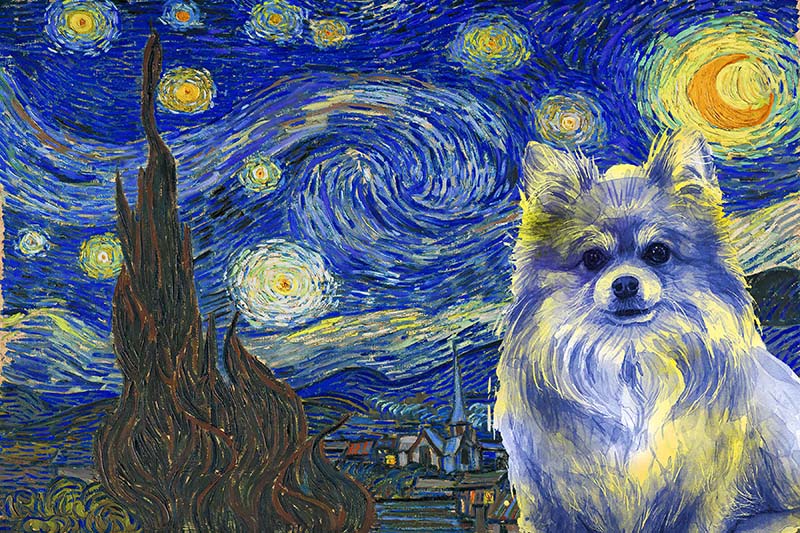Pomeranian Dog Van Gogh Style Starry Night-TT0409