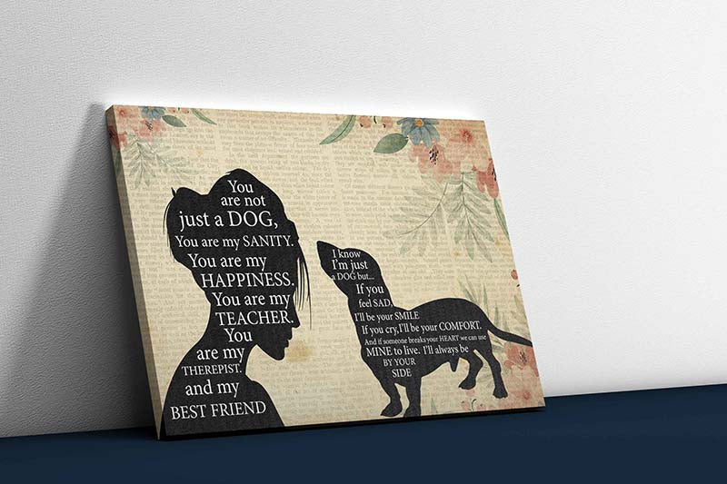 Skitongifts Wall Decoration, Home Decor, Decoration Room Pomeranian Girl Therapist Best Friend You are Not Just A Basset Hound Dog-TT1202