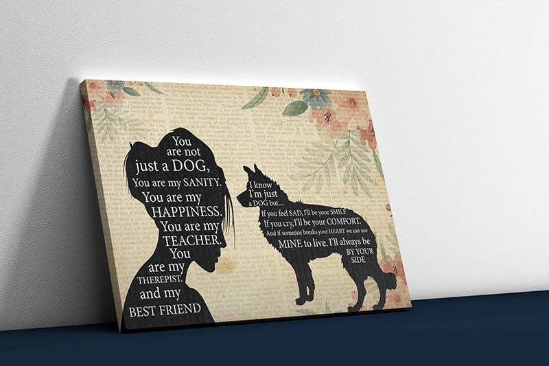 Skitongifts Wall Decoration, Home Decor, Decoration Room Pomeranian Girl Therapist Best Friend You are Not Just A Border Collie Dog-TT1202
