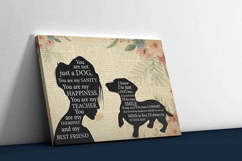 Skitongifts Wall Decoration, Home Decor, Decoration Room Pomeranian Girl Therapist Best Friend You are Not Just A Dachshund Dog-TT1202