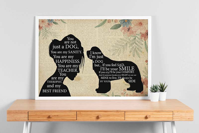 Pomeranian Girl Therapist Best Friend You are Not Just A Newfoundland Dog-TT1202