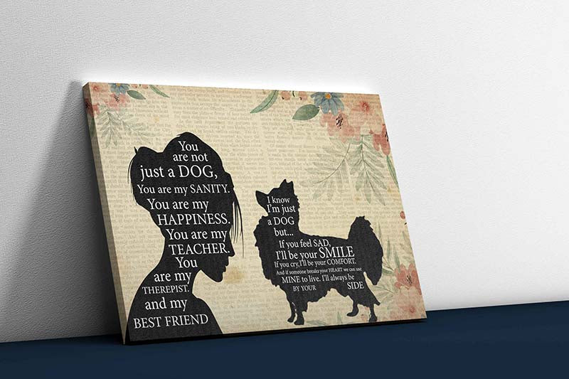 Skitongifts Wall Decoration, Home Decor, Decoration Room Pomeranian Girl Therapist Best Friend You are Not Just A Papilion Dog-TT1202