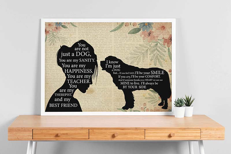Pomeranian Girl Therapist Best Friend You are Not Just A Saint Bernard Dog-TT1202