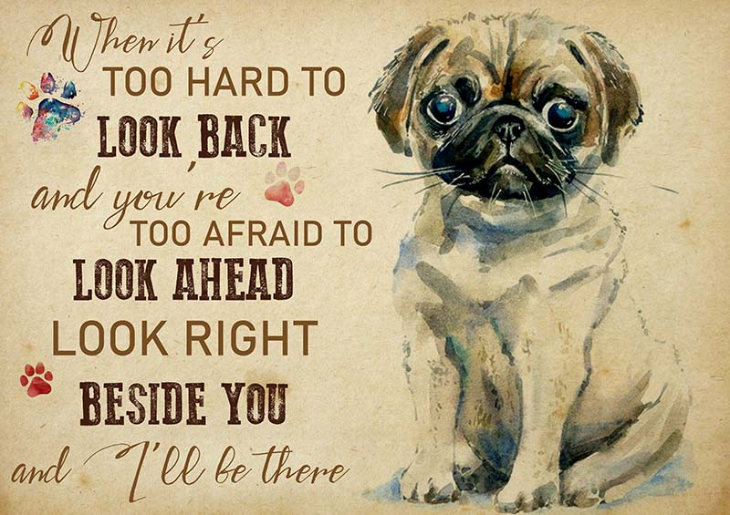 Pug When It's Too Hard to Look Back-TT2009