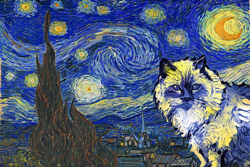 Ragdoll Cat Van Gogh Style Starry Night-TT0409