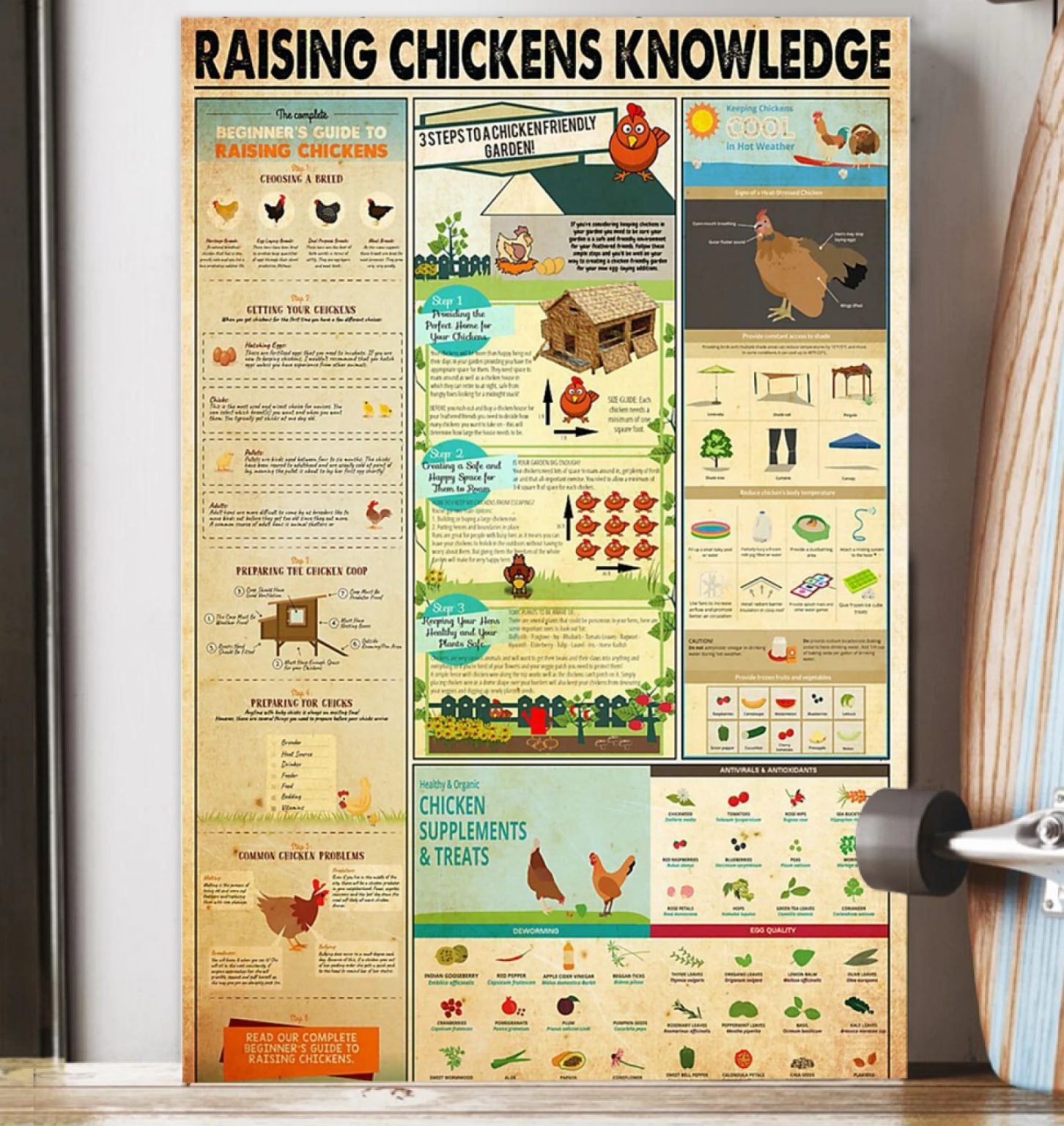 Great Raising Chickens Knowledge