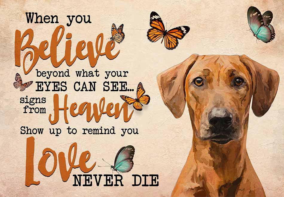 Rhodesian Ridgeback When You Believe Beyond What Your Eyes Can See Signs From Heaven MH0309