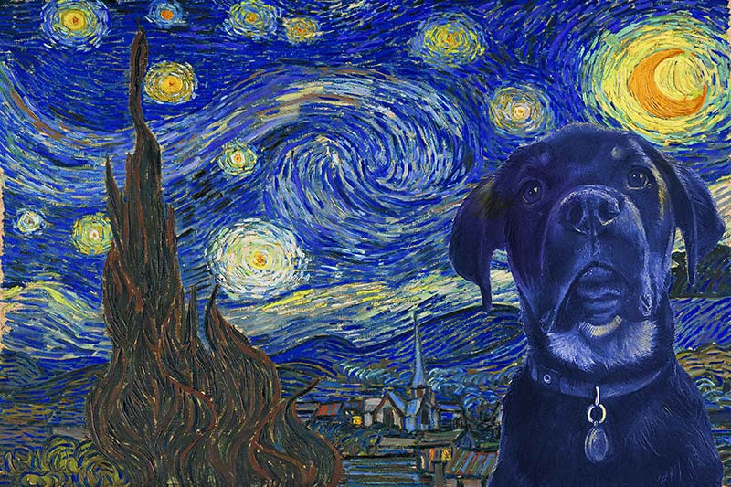 Rottweiler Dog Van Gogh Style Starry Night-TT0409